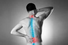 Spine Pain 