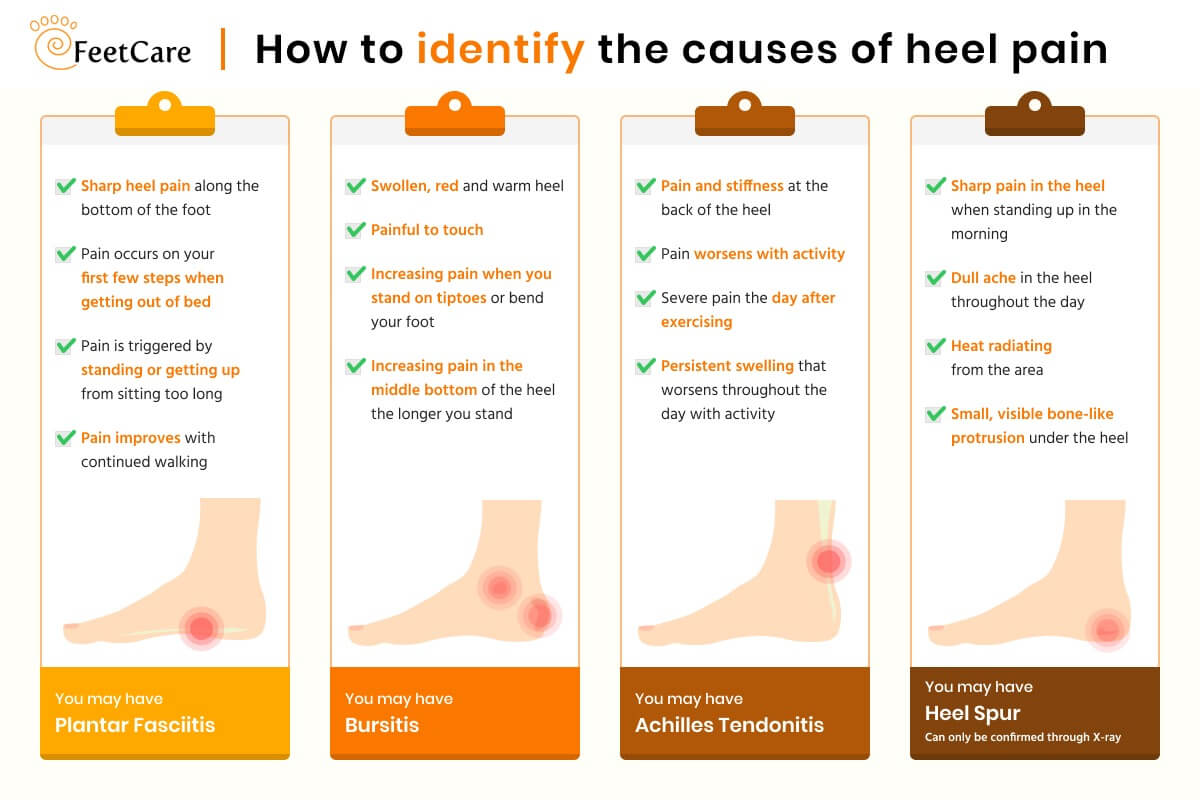 Foot Heel Pain Diagnosis Chart