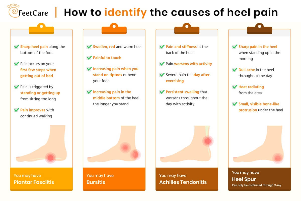 Heel Diagnosis Chart