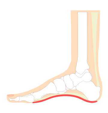 FeetCare - Foot Pain | Bunion | Comfort 